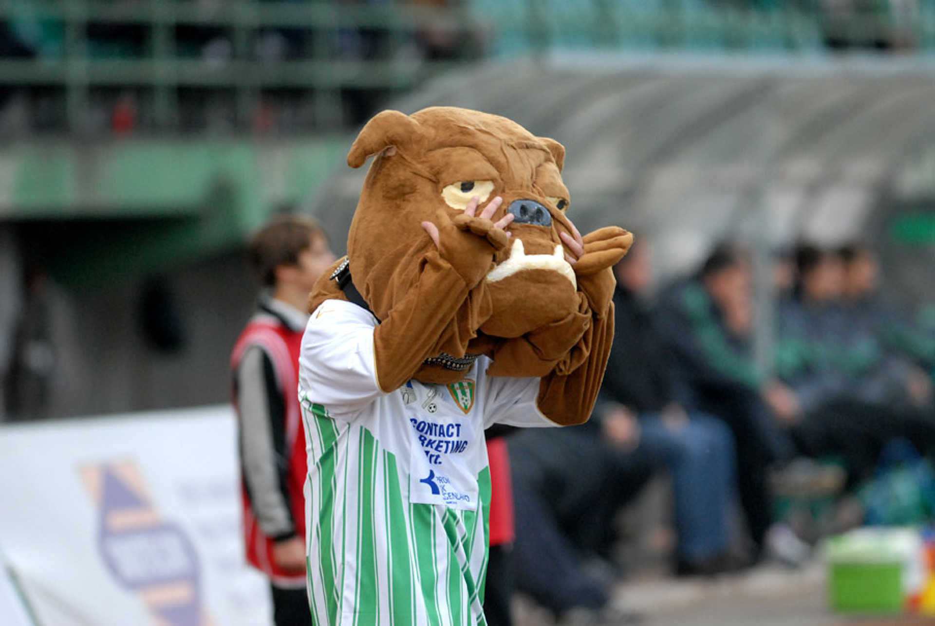 Kép