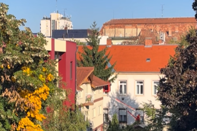 Kivágtak egy hatalmas fenyőt a Király utcában