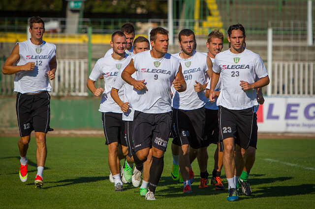Vedran Gerc