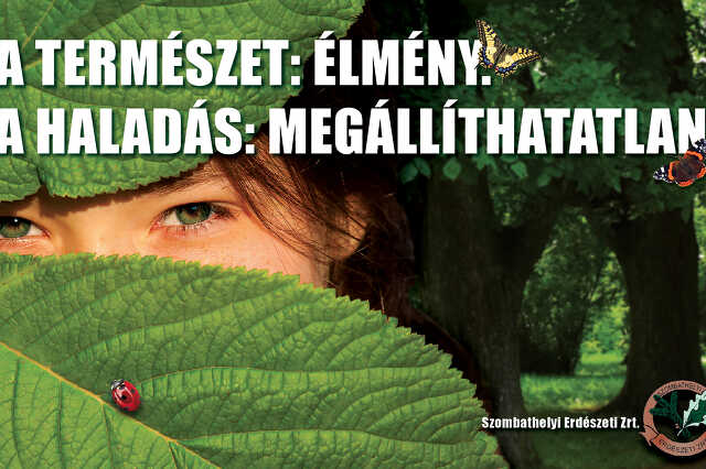 Erdészeti Zrt.